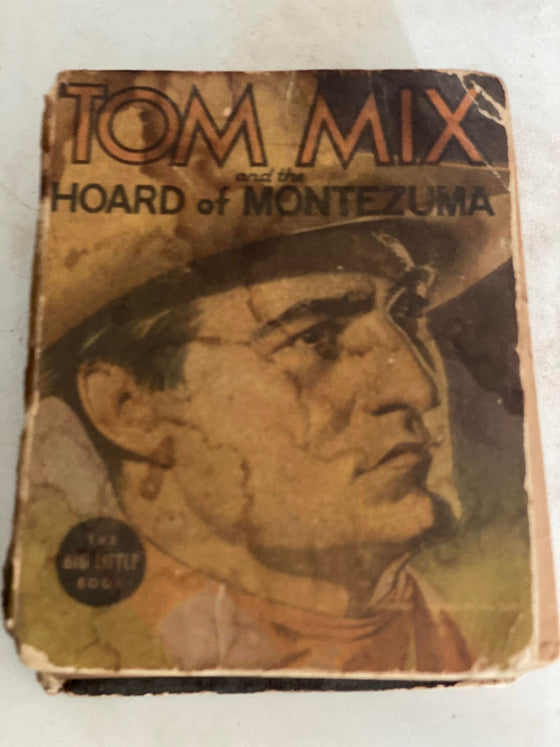 The Big Little Book - Tarzan and Tom Miz and the Hoard of Montezuma